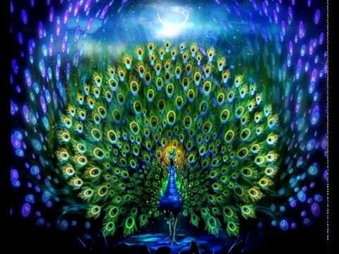 Avalon feat.Waio - Super Duper