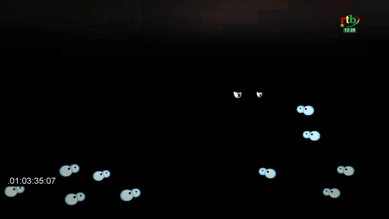 RTB - Saveurs du Faso du 08 novembre 2025