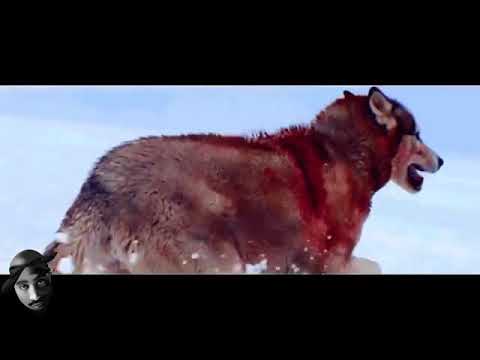 2Pac   Let The World Know I Plan 2 Die NEW 2017 HD