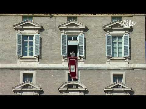 Izdvojeno 28.10.2019. - Misa povodom završetka Sinode o Panamazonskoj regiji