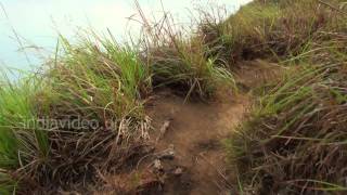 Trekking to Chembra Peak, Wayanad
