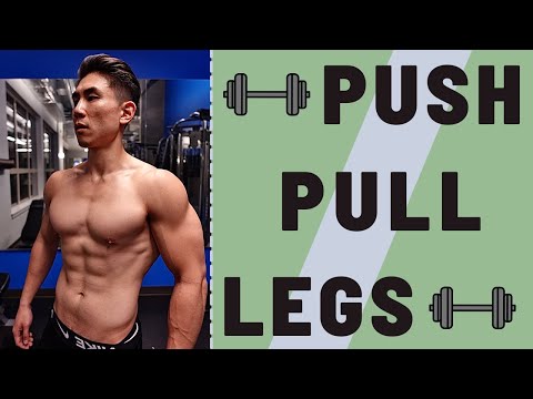 Best Training Split: PUSH PULL LEGS for Beginners | How to Start