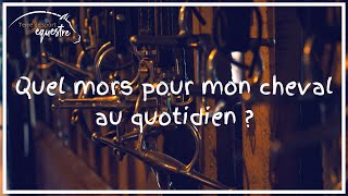 Le mors idéal ?
