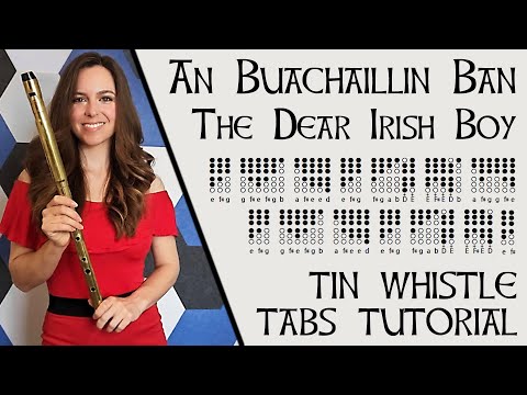 An Buachaillin Ban - The Dear Irish Boy | Low Whistle & Tin Whistle Tabs Tutorial