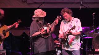Sam Bush Band ~ Romp 2013 (Full Set)