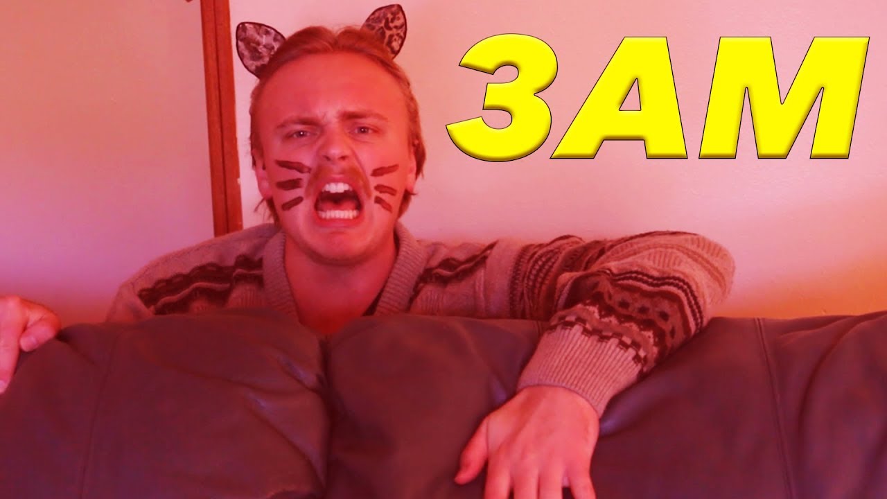 Every Cat At 3AM
