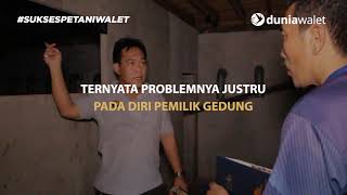 Download lagu Gara Gara CCTV mp3 Download lagu Gara Gara CCTV mp3