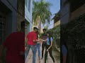 Dekho Dekho Janam Hum Hindi Song Status Shorts Status Jazzmusicfactory