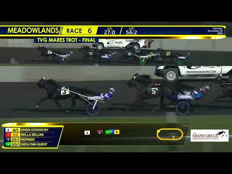 November 26, 2022 - TVG Mare Trot Final