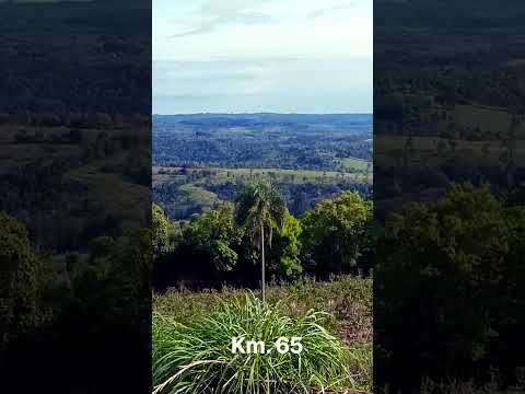 colonias de San Vicente Misiones