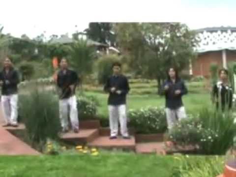 combo tropical mosaico colombiano.mp4