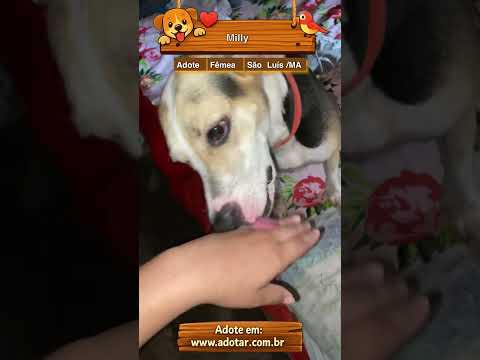 Vídeo de Milly