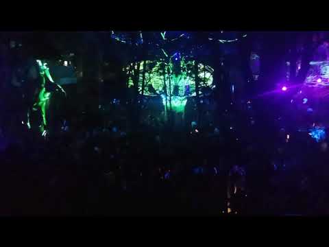 modem festival 2019 pure dark