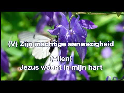 Opwekking 397 Jezus woont in mijn hart