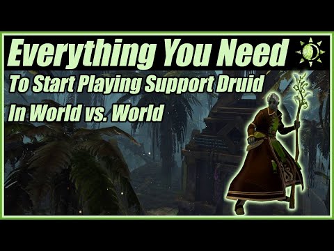 Everything You Need To Start Playing Support Druid in World vs. World