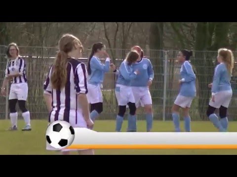 Samenvatting VEP  MC2 - Hermes DVS MC1