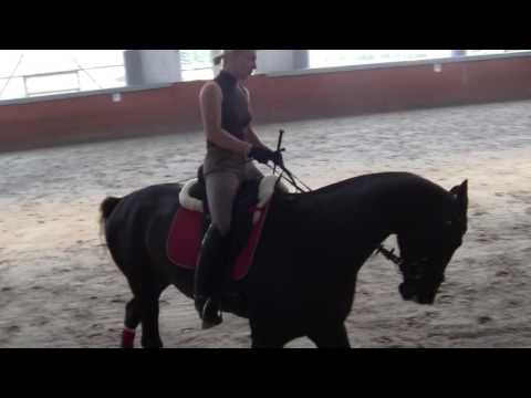 музардак 2014 год .3 месяц работы.