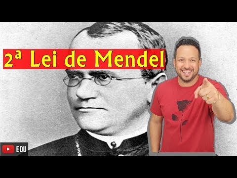 Mendel's 2nd Law - Genetics - Biology with the Shark