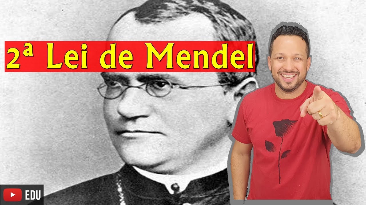 2ª Lei de Mendel - Genética - Biologia com o Tubarão