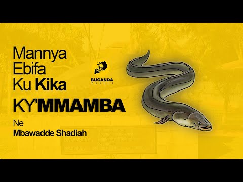 Mannya Ebifa Ku Kika Ky'Mmamba Ne Mbawadde Shadiah - Buganda Ekkula