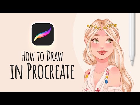 How to Draw in Procreate | Beginners Guide