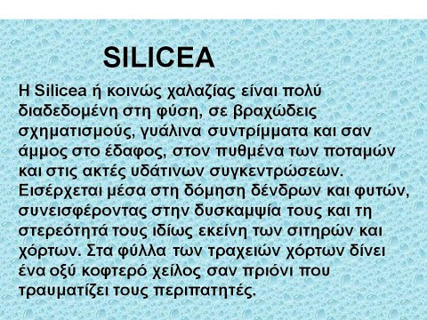 izületi fájdalom csillapítása házilag ízületi fájdalom és fáradtság okai