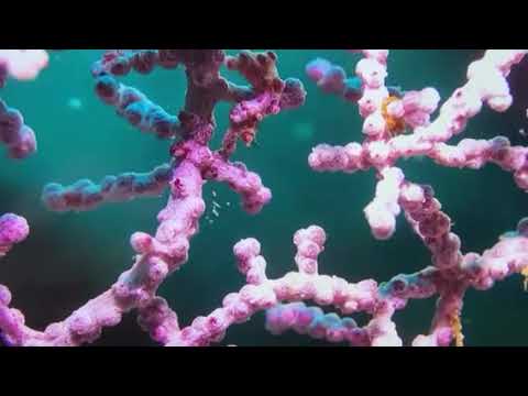 Samsung Smart TV 4K телевизор 2025 год Ultra HD, LЕD, IPTV, T2 42 дюйма WIFI Сборка Корея Самсунг Андроид 15 - фото 1 - id-p2493598809