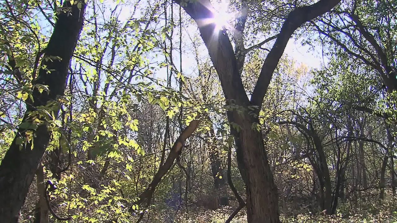 Water Resource Management