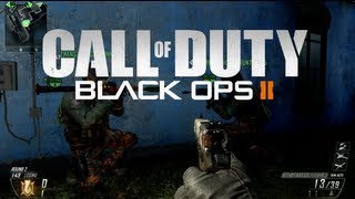 BO2 - Lui Calibre Impostor?