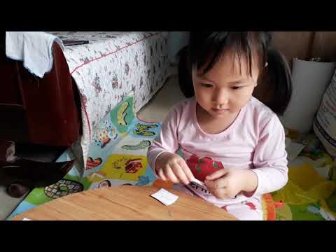 Wr, kn, rh, st, mb, e - Hamy