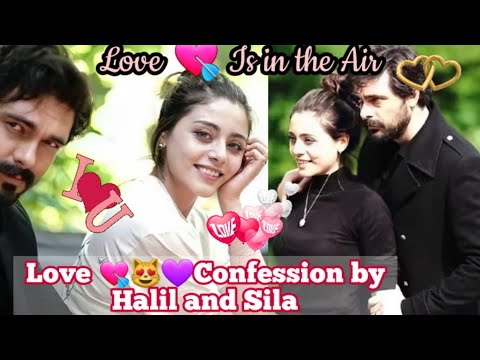 Sila Tarkoğlu and Halil Ibrahim Ceyhan are Dating each other?Love is in the air😘😘💕💕😍