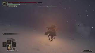 [録画声なし]　ELDEN RING -22-