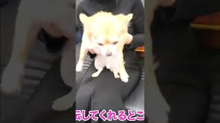 求人動画