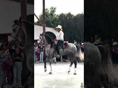 Cabalgata en Honor a San Vicente ferrer [Tlalixtaquilla, Guerrero]