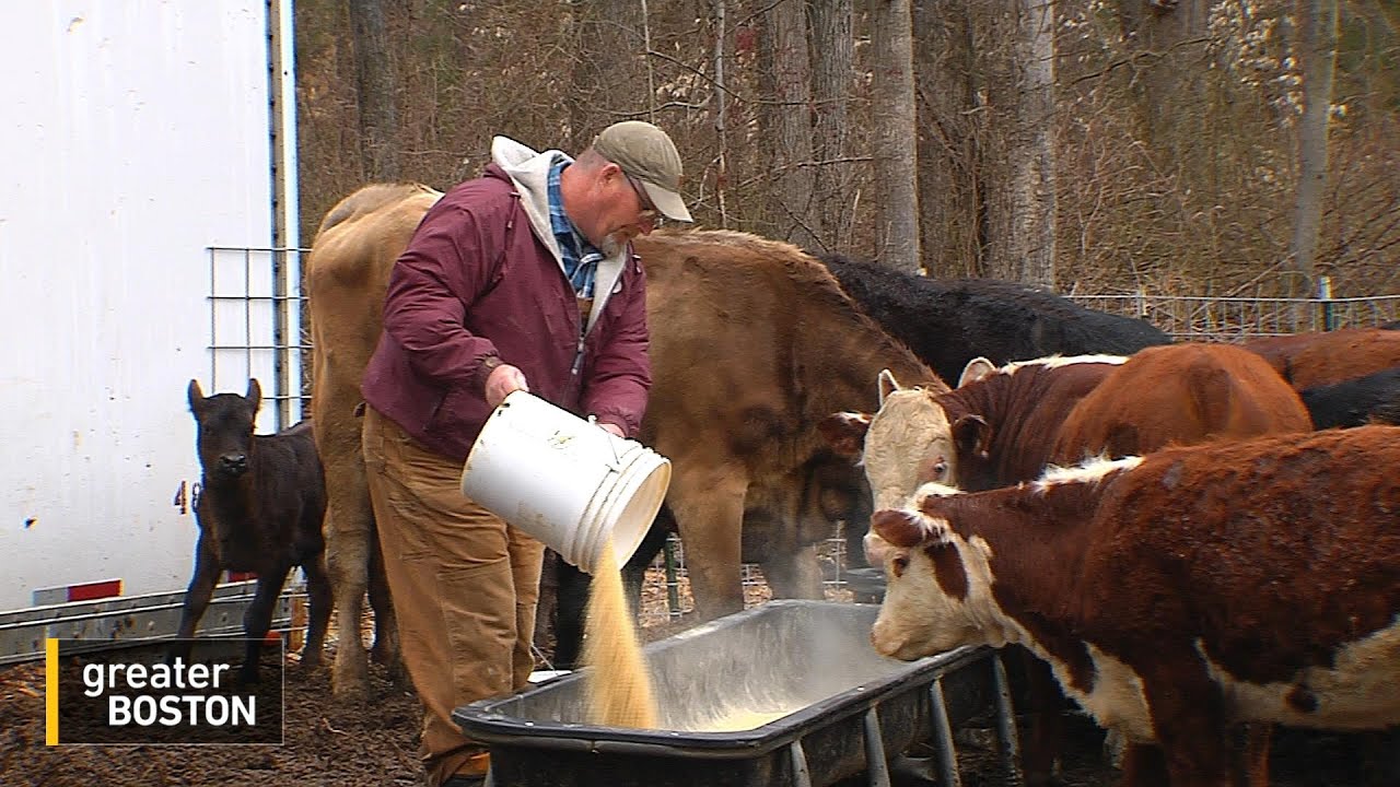 Farm To Your Table: How Farmers Are Adapting As The Food Landscape Shifts