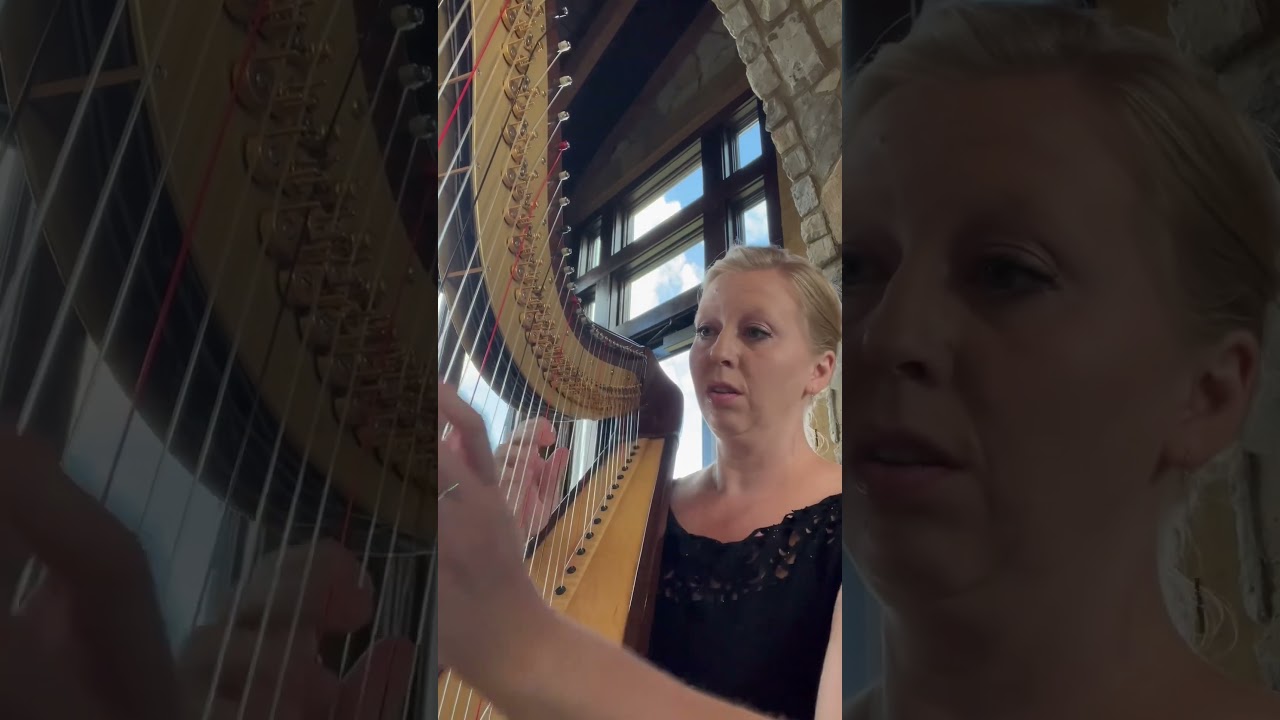 Promotional video thumbnail 14 for Evelyn's Music - Professional Piano and Violin