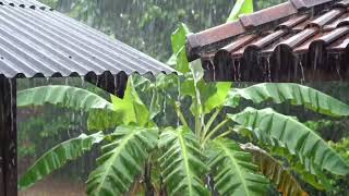 Download lagu Hujan Lebat & Badai Petir di Atap Seng, Suara Alam Tidur Cepat & Deep Sleep Rain Sounds mp3 Download lagu Hujan Lebat & Badai Petir di Atap Seng, Suara Alam Tidur Cepat & Deep Sleep Rain Sounds mp3