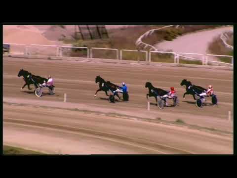 Trotto 13/09/2020 - 1ª prova di qualifica