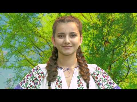 Amalia Branzan   Veniti din strainatate