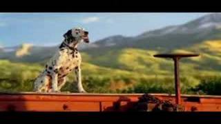 Budweiser Clydesdale Team Commercial