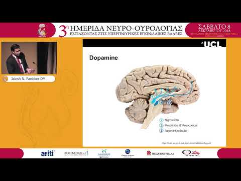 Panicker J. - Possible new brain therapeutic targets for Neurogenic LUTS