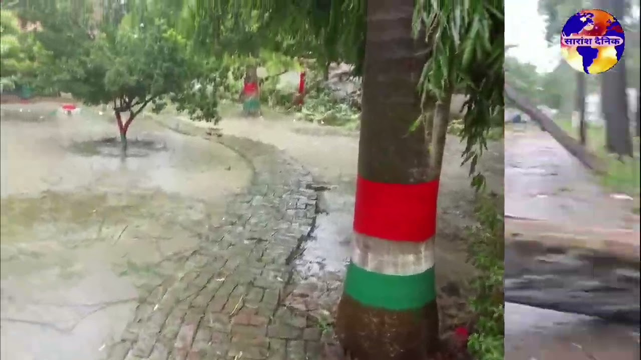 पेड़ गिरने से स्कूल की चारदीवारी छतिग्रस्त