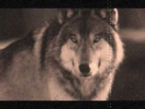 Tryglav - Scarborough Fair (The Wolves)