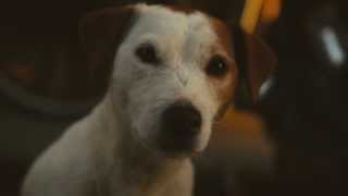 Garish: "Ganz Paris"