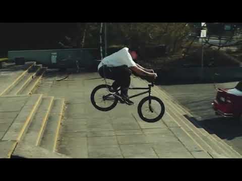 JO GASS   ANIMAL 2019