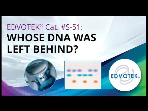 Edvotek Kit S-51.  Whose DNA Was Left Behind?