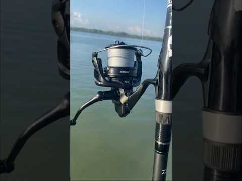 Shimano Ultegra 5500XTD #shimanoultegra with Gomexus knob