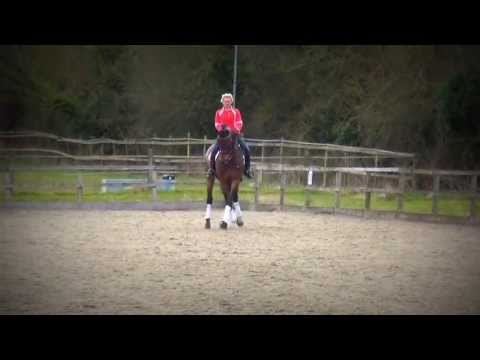 download lagu mp3 mp4 Alice Peternell, download lagu Alice Peternell gratis, unduh video klip Alice Peternell