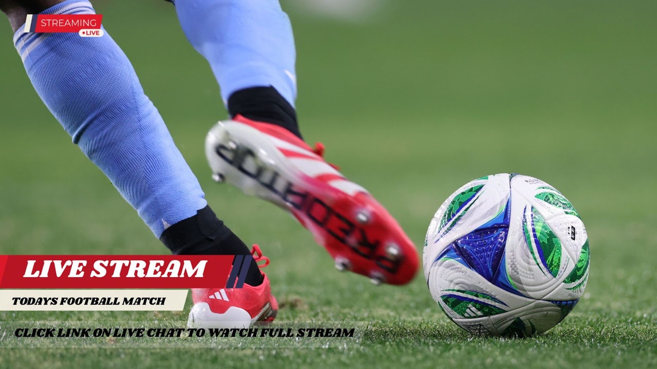 Casa Pia vs Torreense Goals and Key Highlights