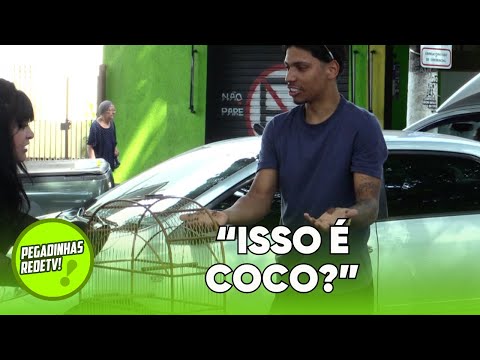 FUGA DE PASSARINHO E MUITA CONFUSÃO - PEGADINHAS REDETV